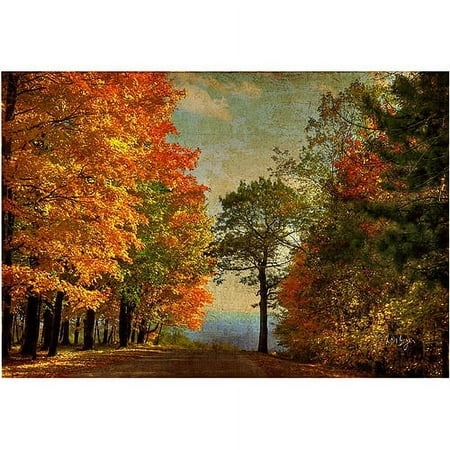 Trademark Fine Art "Autumn on the Mountain" Canvas Art by Lois Bryan