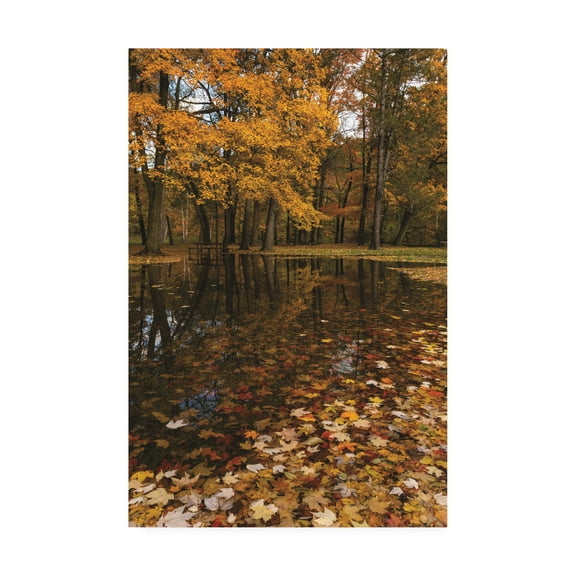 Trademark Fine Art 'Autumn picnic flooded' Canvas Art by Kurt Shaffer Photographs