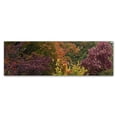 thumbnail image 1 of Trademark Fine Art "Autumn's Diversity" Canvas Art by Kurt Shaffer, 1 of 1