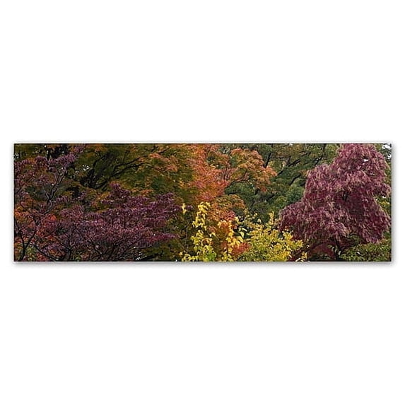 Trademark Fine Art "Autumn's Diversity" Canvas Art by Kurt Shaffer