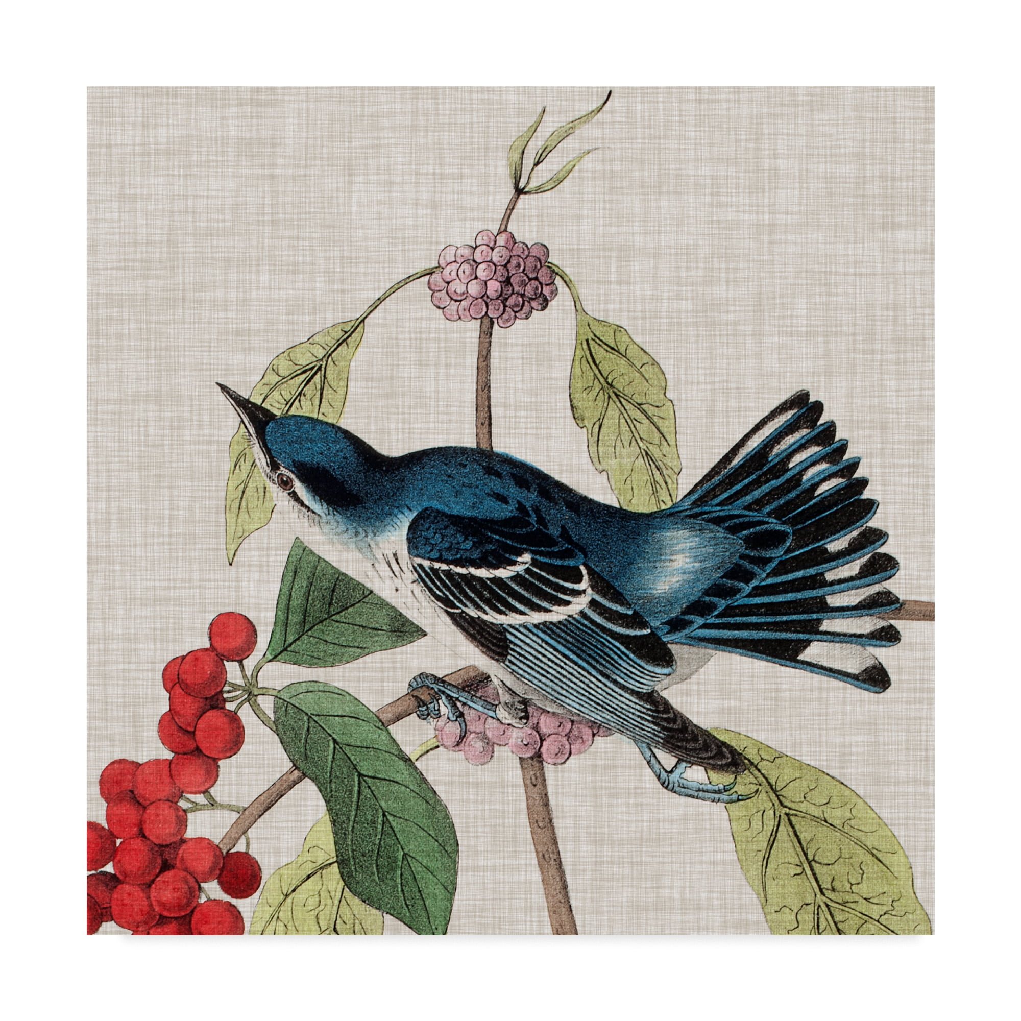 Blue and Red Bird Gallery-Wrapped Canvas Art, 14 x 14