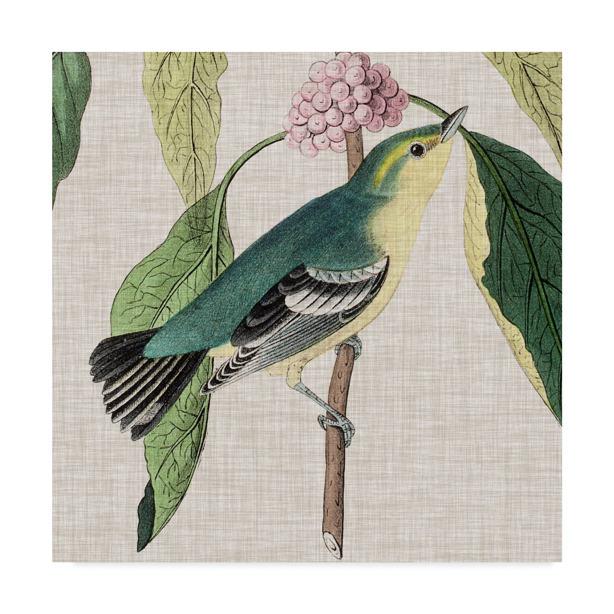 Blue and Yellow Bird on Canvas Gallery-Wrapped Art, 24 x 24