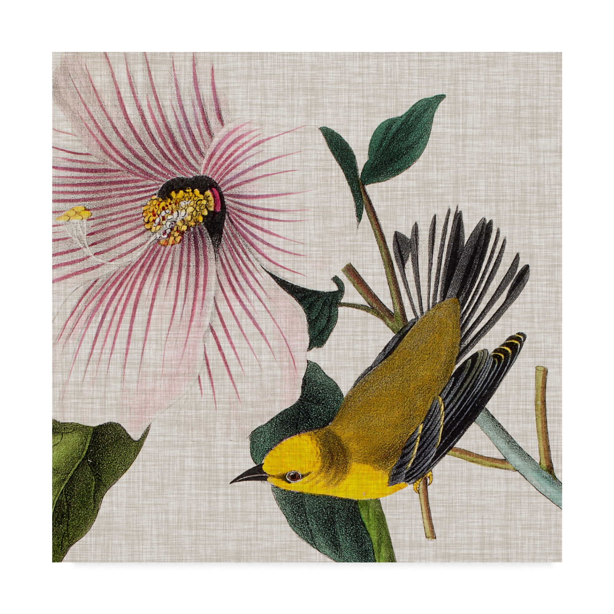 18 x 18 Yellow Bird and Pink Flower Canvas Art