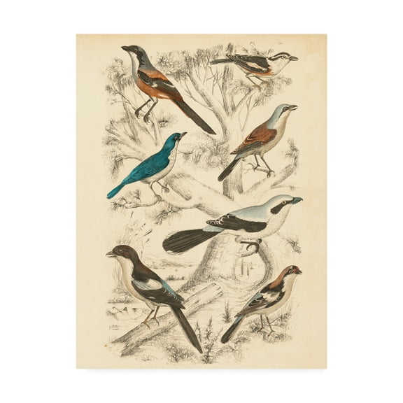 Trademark Fine Art 'Avian Habitat V' Canvas Art by Milne