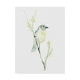 thumbnail image 1 of Trademark Fine Art 'Avian Impressions III' Canvas Art by June Erica Vess, 1 of 4