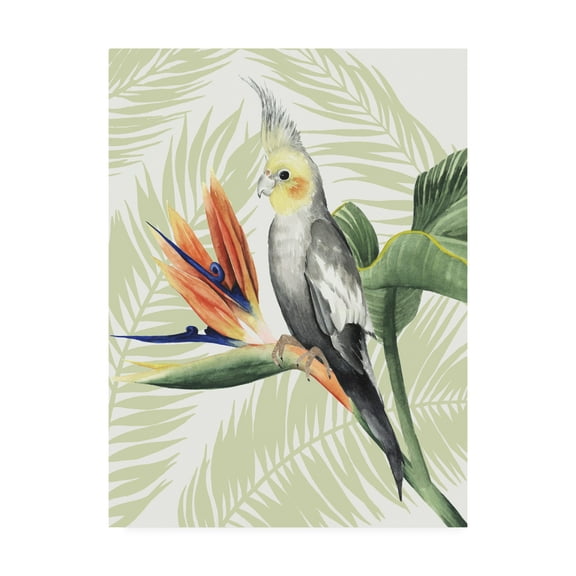 Trademark Fine Art 'Avian Paradise I' Canvas Art by Grace Popp