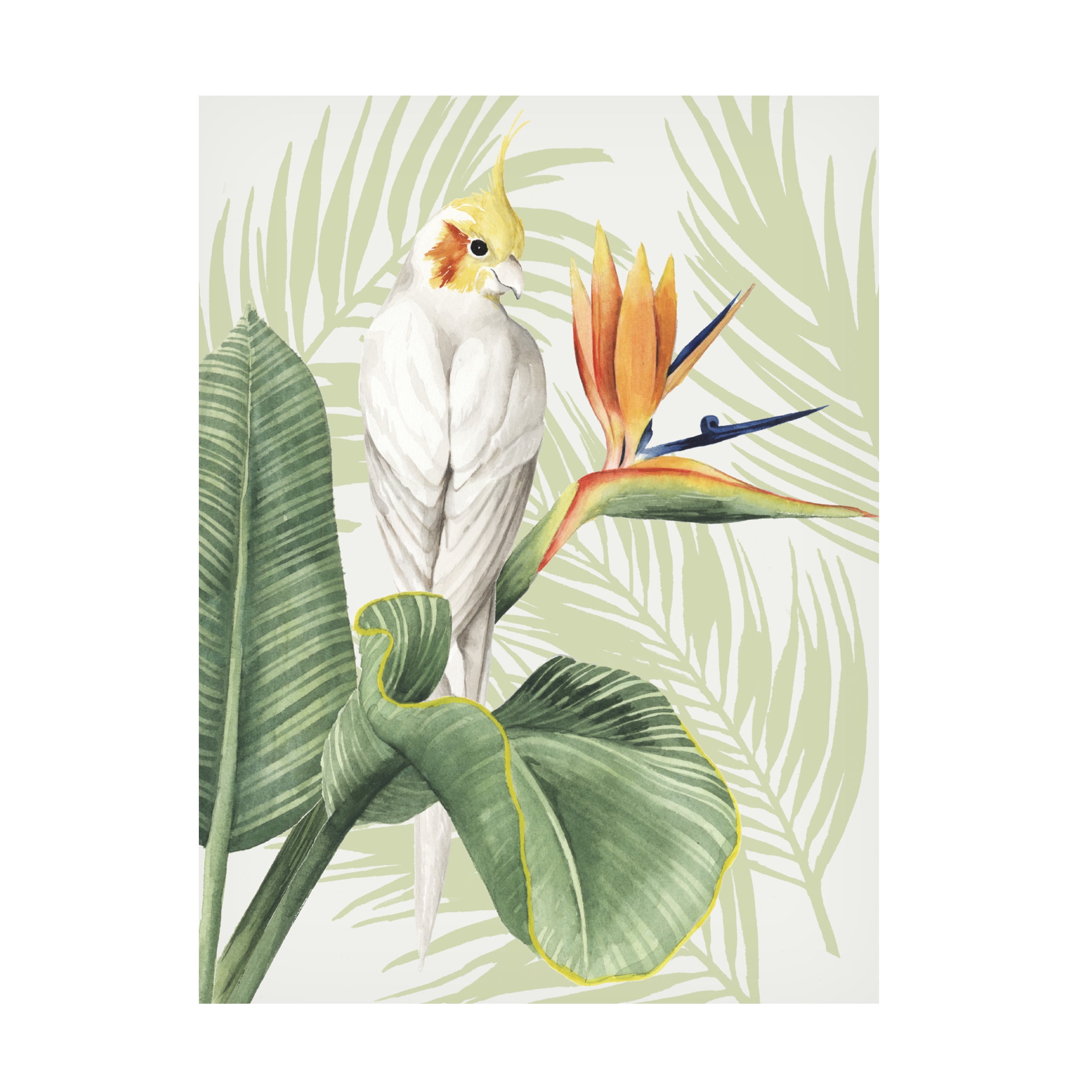 Trademark Fine Art Grace Popp Avian Paradise Ii Canvas Wall Art - 24x32