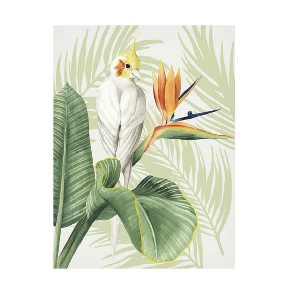 Trademark Fine Art Grace Popp Avian Paradise Ii Canvas Wall Art - 18x24