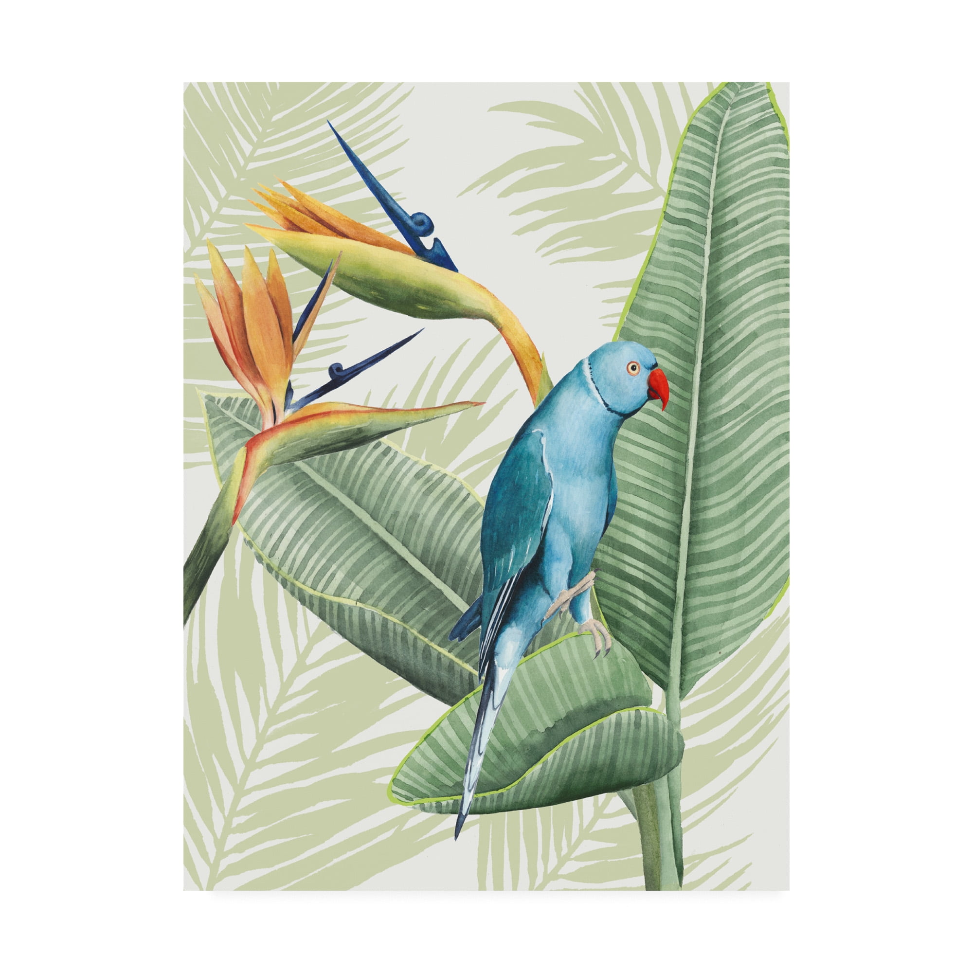 Trademark Fine Art 'Avian Paradise Iii' Canvas Art by Grace Popp