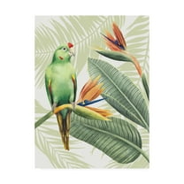 Trademark Fine Art 'Avian Paradise Iv' Canvas Art by Grace Popp