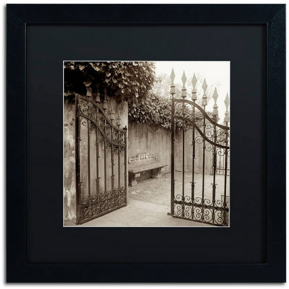 Trademark Fine Art "Avignon I" Canvas Art by Alan Blaustein, Black Matte, Black Frame