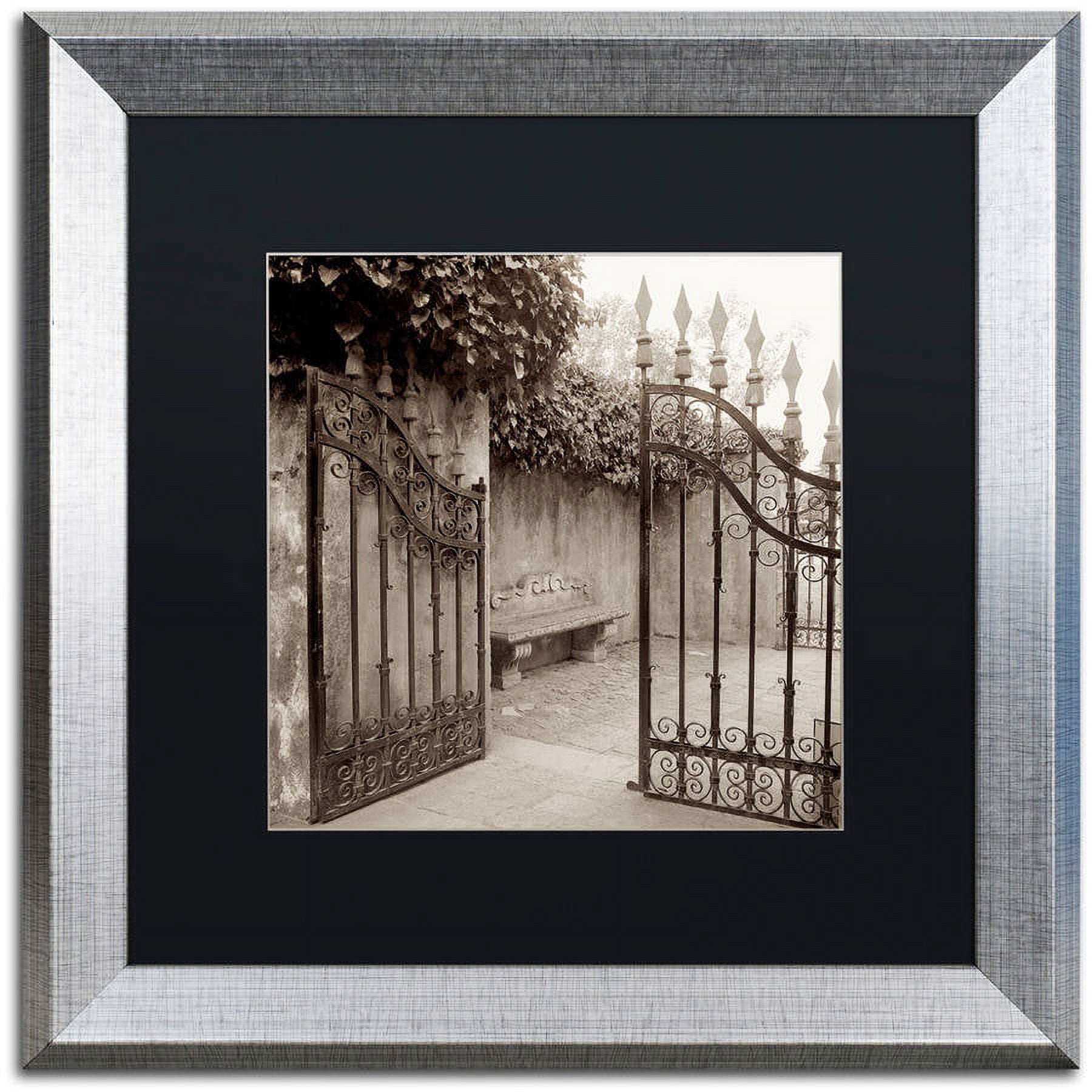 Trademark Fine Art "Avignon I" Canvas Art by Alan Blaustein, Black Matte, Silver Frame
