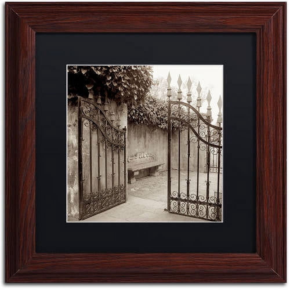 Trademark Fine Art "Avignon I" Canvas Art by Alan Blaustein, Black Matte, Wood Frame