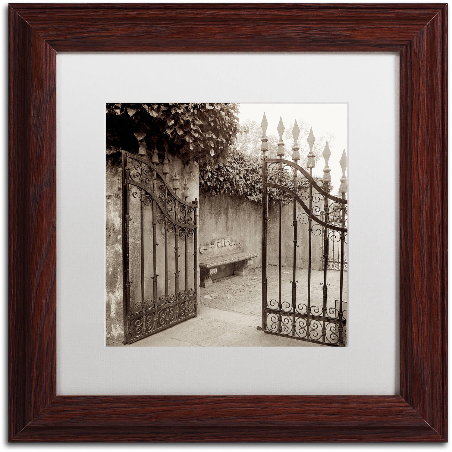Trademark Fine Art "Avignon I" Canvas Art by Alan Blaustein, White Matte, Wood Frame