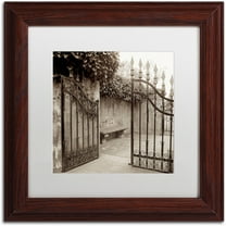 Trademark Fine Art "Avignon I" Canvas Art by Alan Blaustein, White Matte, Wood Frame