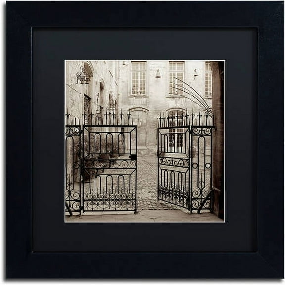Trademark Fine Art "Avignon II" Canvas Art by Alan Blaustein, Black Matte, Black Frame