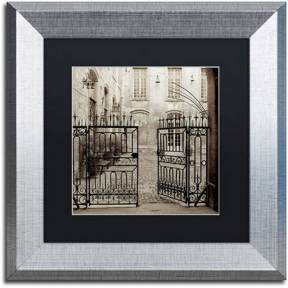 Trademark Fine Art "Avignon II" Canvas Art by Alan Blaustein, Black Matte, Silver Frame