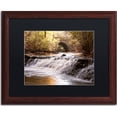 thumbnail image 1 of Trademark Fine Art "Avon Falls" Canvas Art by Jason Shaffer, Black Matte, Wood Frame, 1 of 1