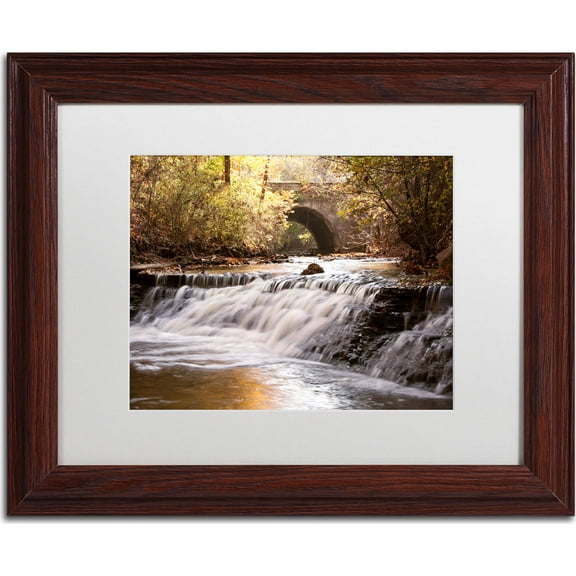 Trademark Fine Art "Avon Falls" Canvas Art by Jason Shaffer, White Matte, Wood Frame