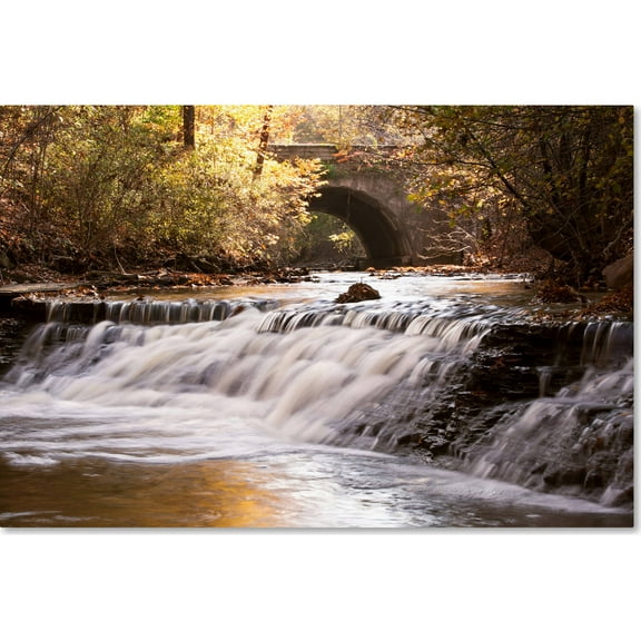 Trademark Fine Art "Avon Falls" Canvas Art by Jason Shaffer
