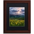 thumbnail image 1 of Trademark Fine Art "Awakening" Canvas Art by Michael Blanchette Photography Black Matte, Wood Frame, 1 of 1