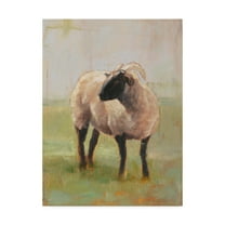 Trademark Fine Art 'Away from the Flock II' Canvas Art by Ethan Harper