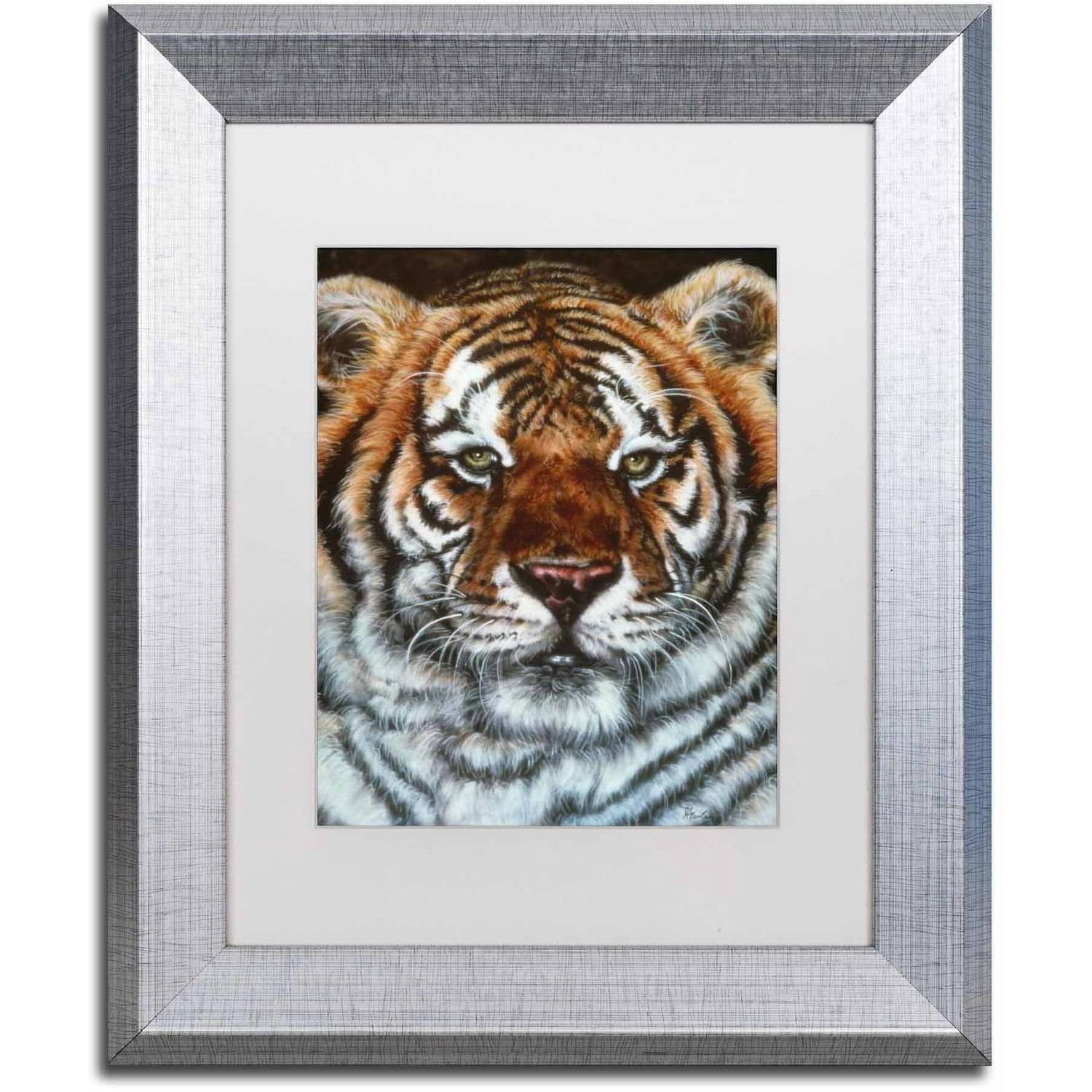 Trademark Fine Art 'Awesome Beauty' Canvas Art by Jenny Newland, White Matte, Silver Frame