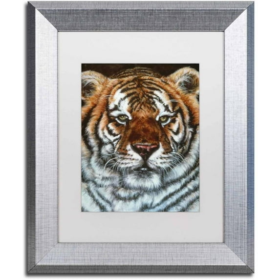 Trademark Fine Art 'Awesome Beauty' Canvas Art by Jenny Newland, White Matte, Silver Frame