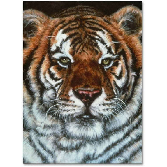 Trademark Fine Art 'Awesome Beauty' Canvas Art by Jenny Newland