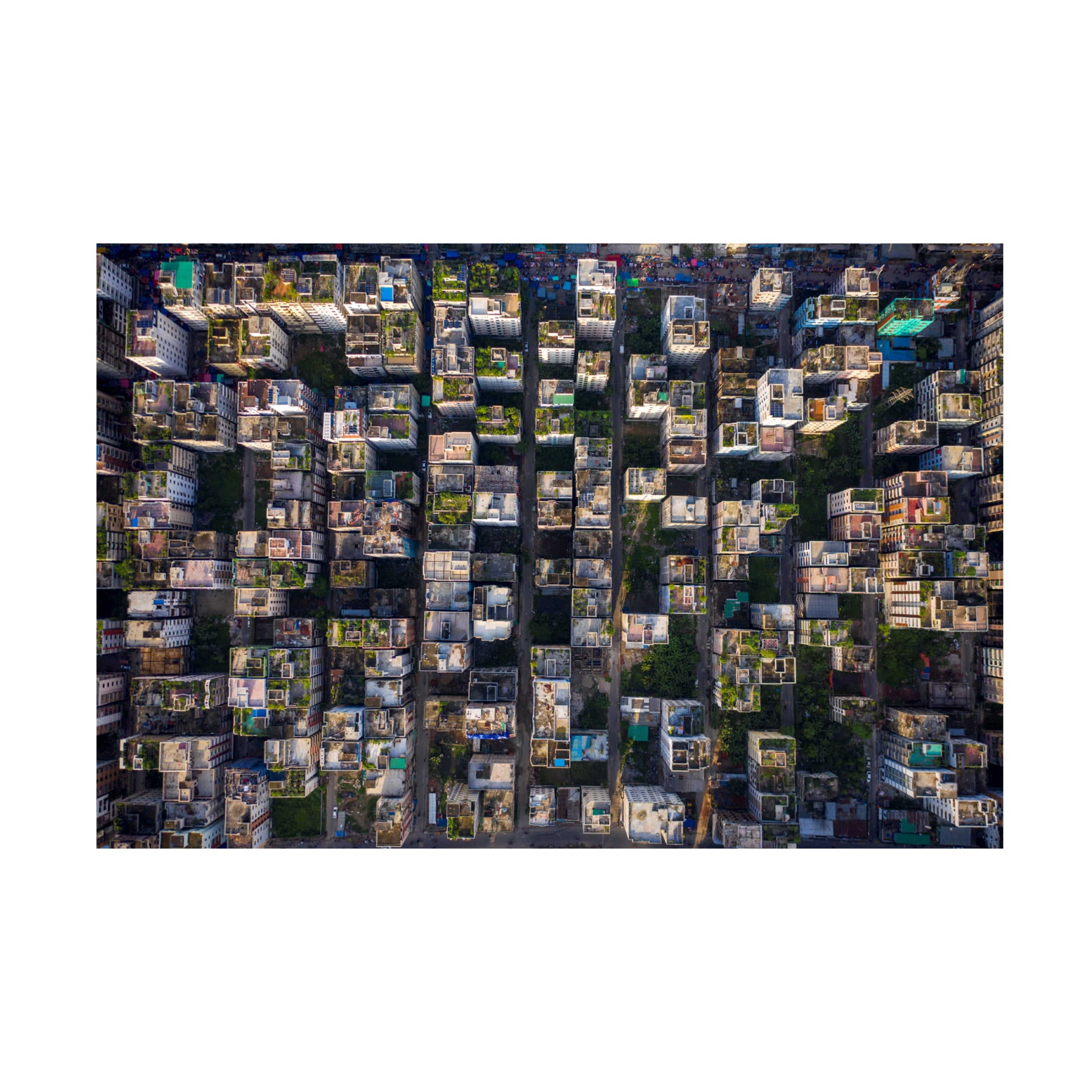 Trademark Fine Art Azim Khan Ronnie Rooftop Canvas Wall Art