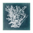thumbnail image 1 of Trademark Fine Art 'Azure Coral I' Canvas Art by Vision Studio, 1 of 4