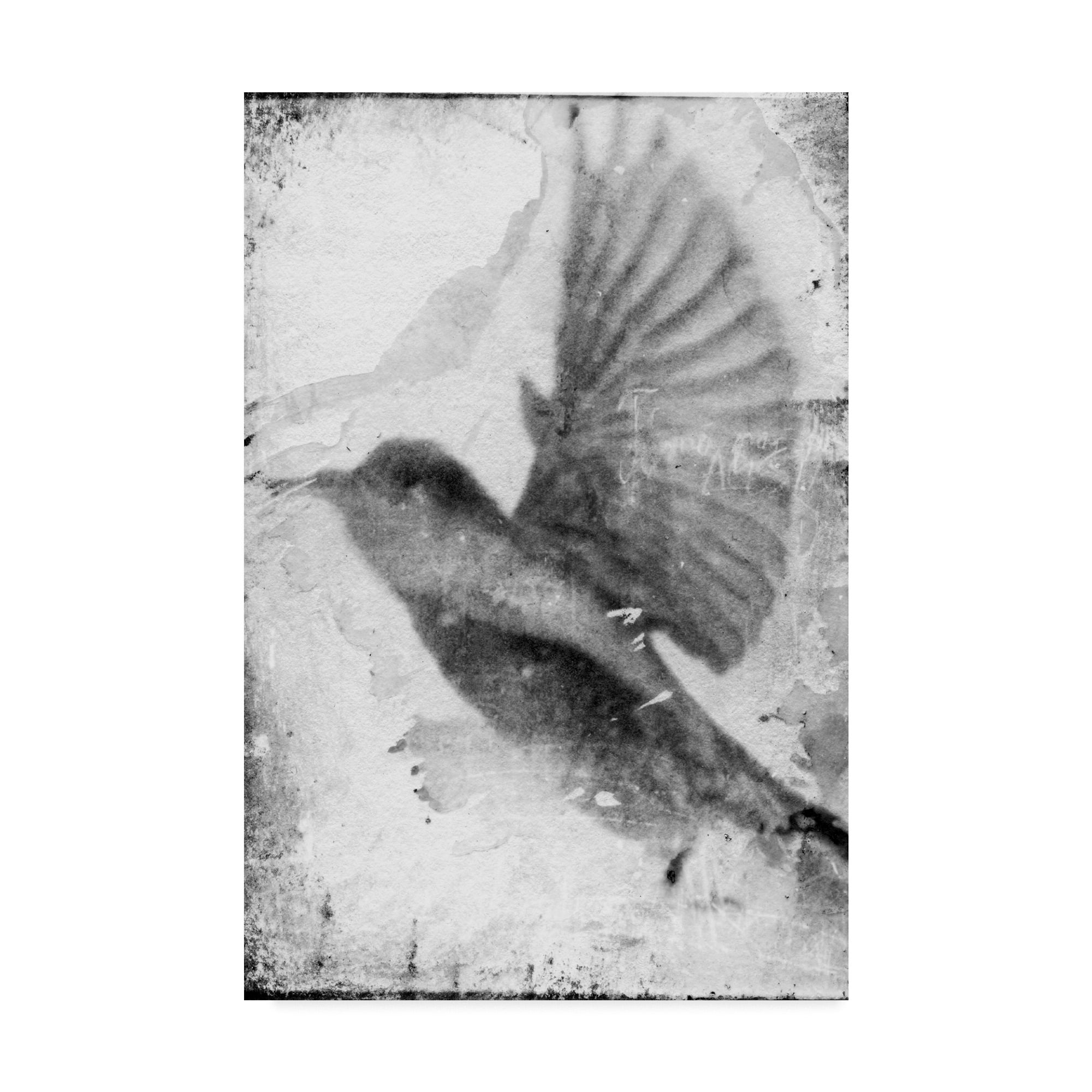 Trademark Fine Art 'B&W Flight II' Canvas Art by Ingrid Blixt