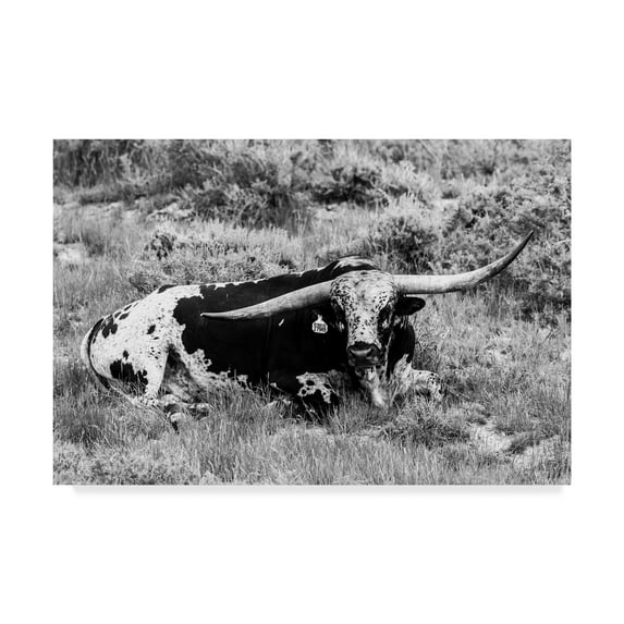 Trademark Fine Art 'B&W Longhorn I' Canvas Art by Tyler Stockton