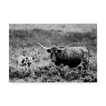 Trademark Fine Art 'B&W Longhorn II' Canvas Art by Tyler Stockton