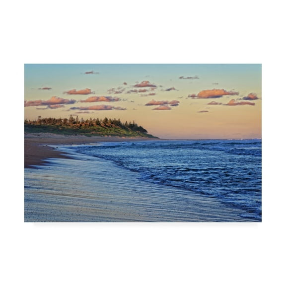 Trademark Fine Art 'BC Evening stroll' Canvas Art by Beata Czyzowska Young