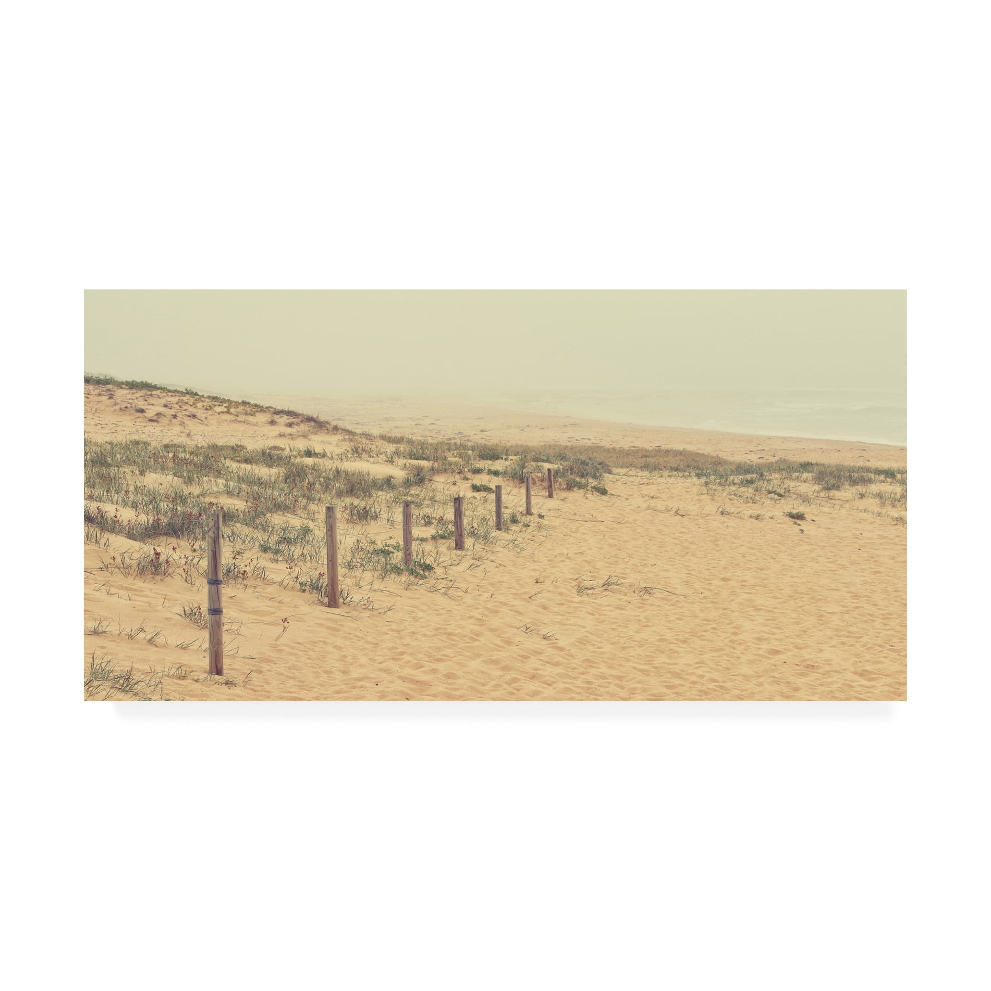 Trademark Fine Art 'BC Foggy Beach' Canvas Art by Beata Czyzowska Young