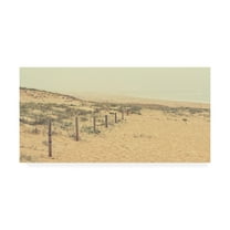 Trademark Fine Art 'BC Foggy Beach' Canvas Art by Beata Czyzowska Young