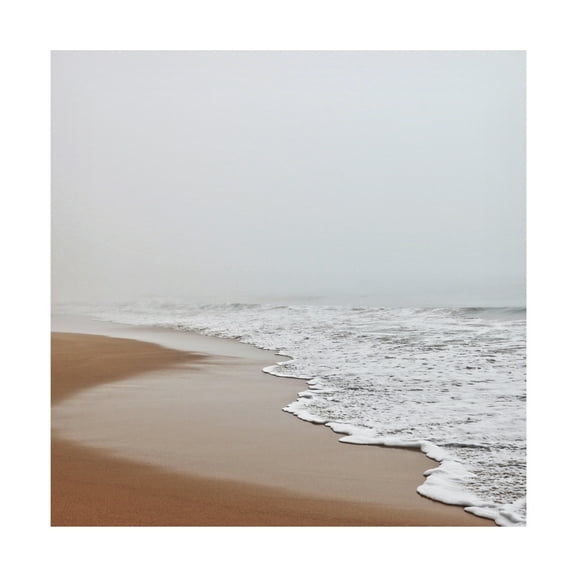 Trademark Fine Art Beata Czyzowska Young BC Foggy Ocean Canvas Wall Art - 24x24