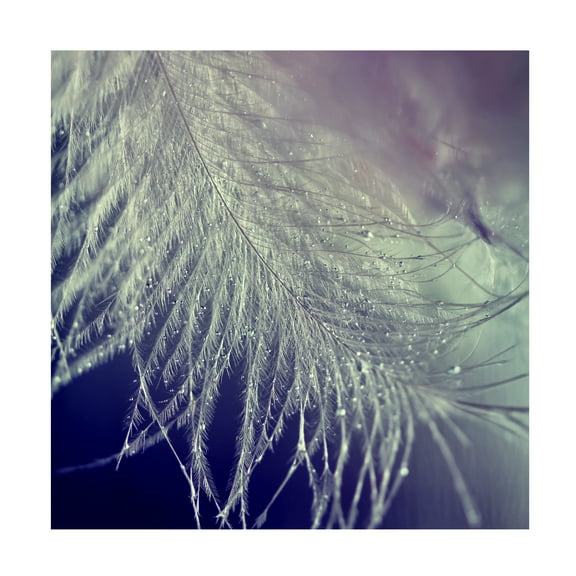 Trademark Fine Art 'BC For you' Canvas Art by Beata Czyzowska Young