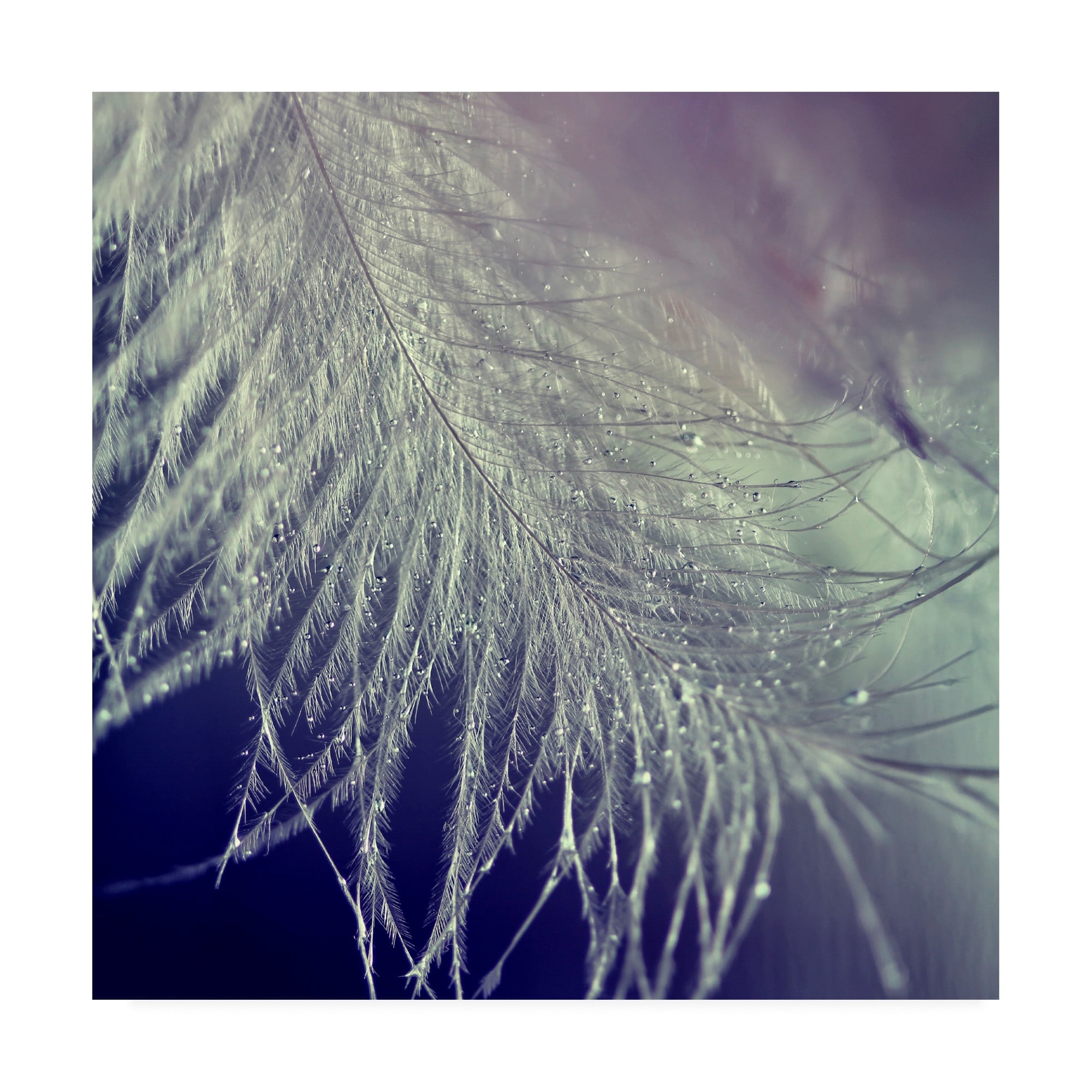 Trademark Fine Art 'BC For you' Canvas Art by Beata Czyzowska Young