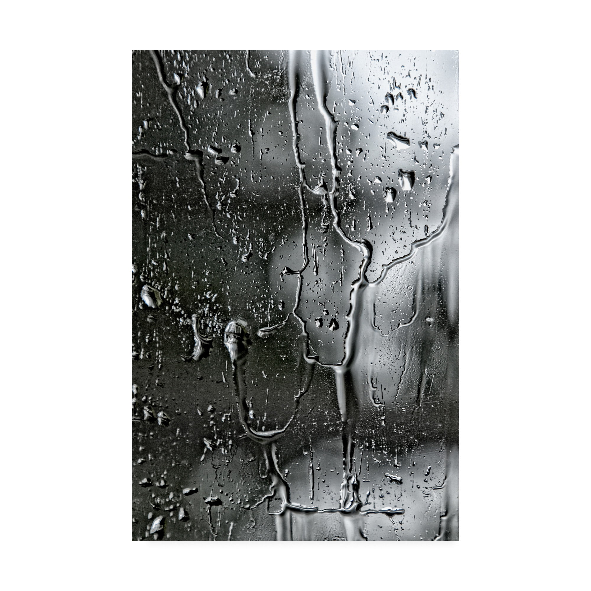 Trademark Fine Art 'BC Letting go' Canvas Art by Beata Czyzowska Young
