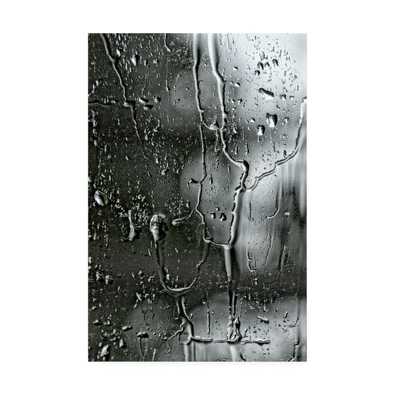 Trademark Fine Art 'BC Letting go' Canvas Art by Beata Czyzowska Young