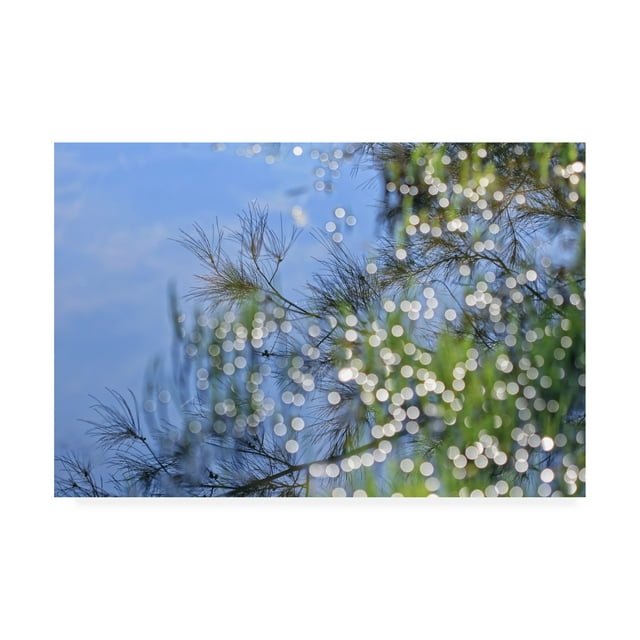 Trademark Fine Art 'BC Magic in the trees' Canvas Art by Beata Czyzowska Young