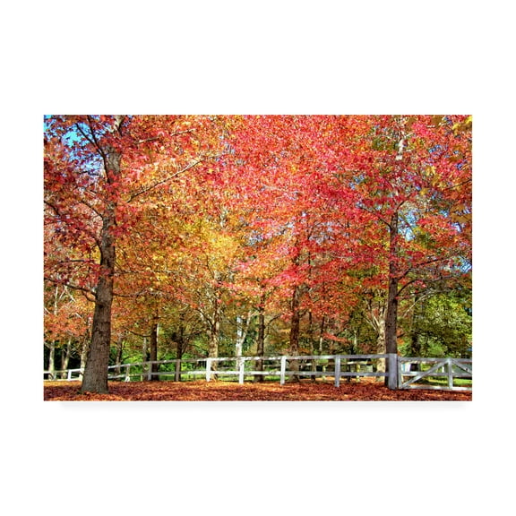 Trademark Fine Art 'BC Magic of Autumn' Canvas Art by Beata Czyzowska Young
