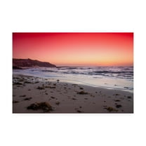 Trademark Fine Art 'BC Red Sunrise' Canvas Art by Beata Czyzowska Young