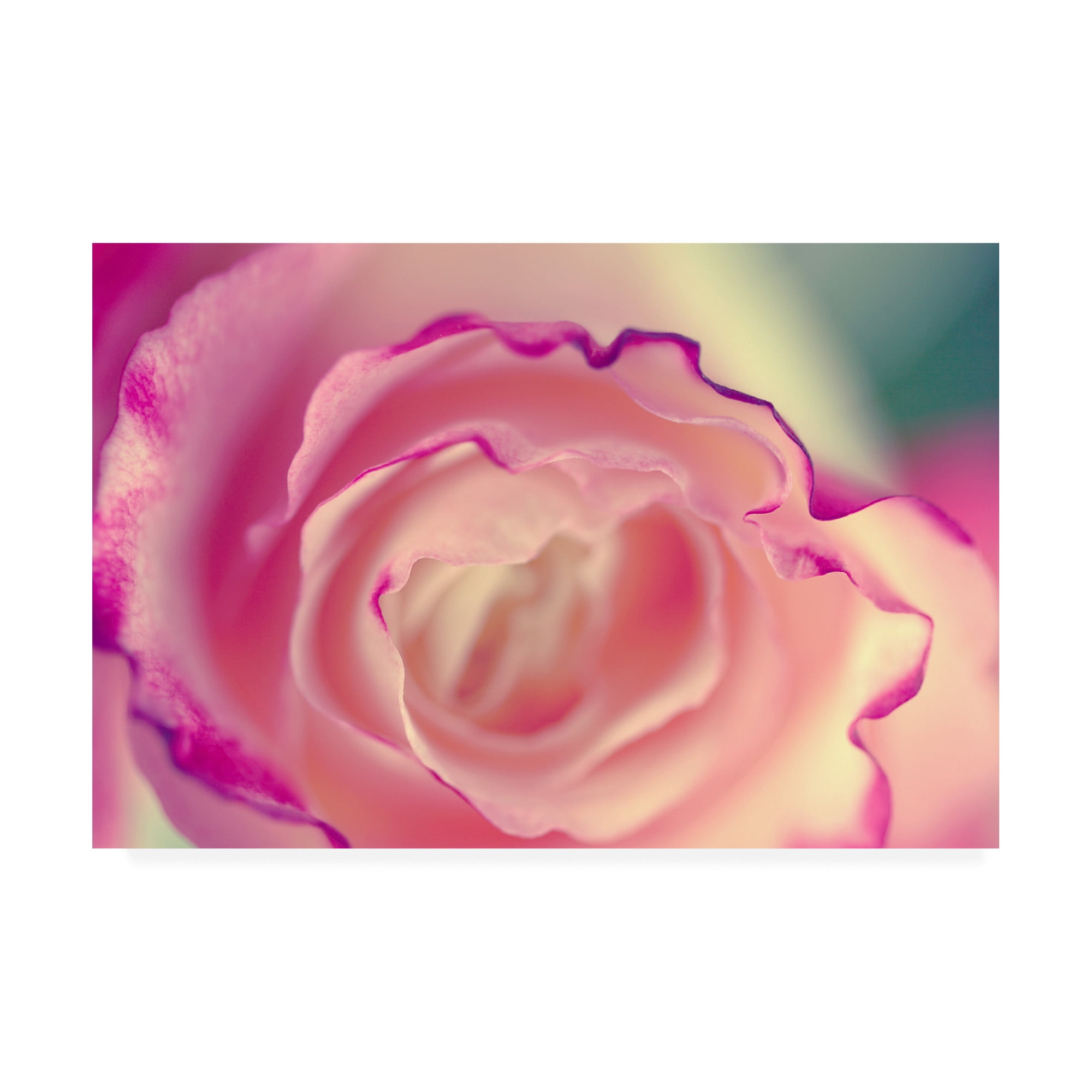 Trademark Fine Art 'BC Scents of Summer' Canvas Art by Beata Czyzowska Young