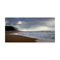 Trademark Fine Art 'BC Stormy moods.' Canvas Art by Beata Czyzowska Young