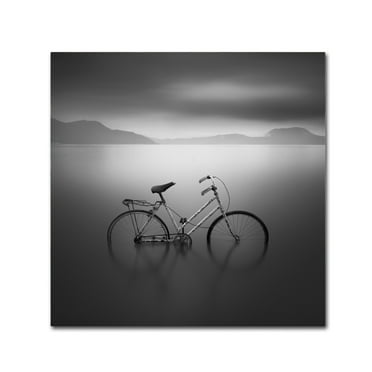 Trademark Fine Art 'BICYCLE 1b' Canvas Art by Moises Levy