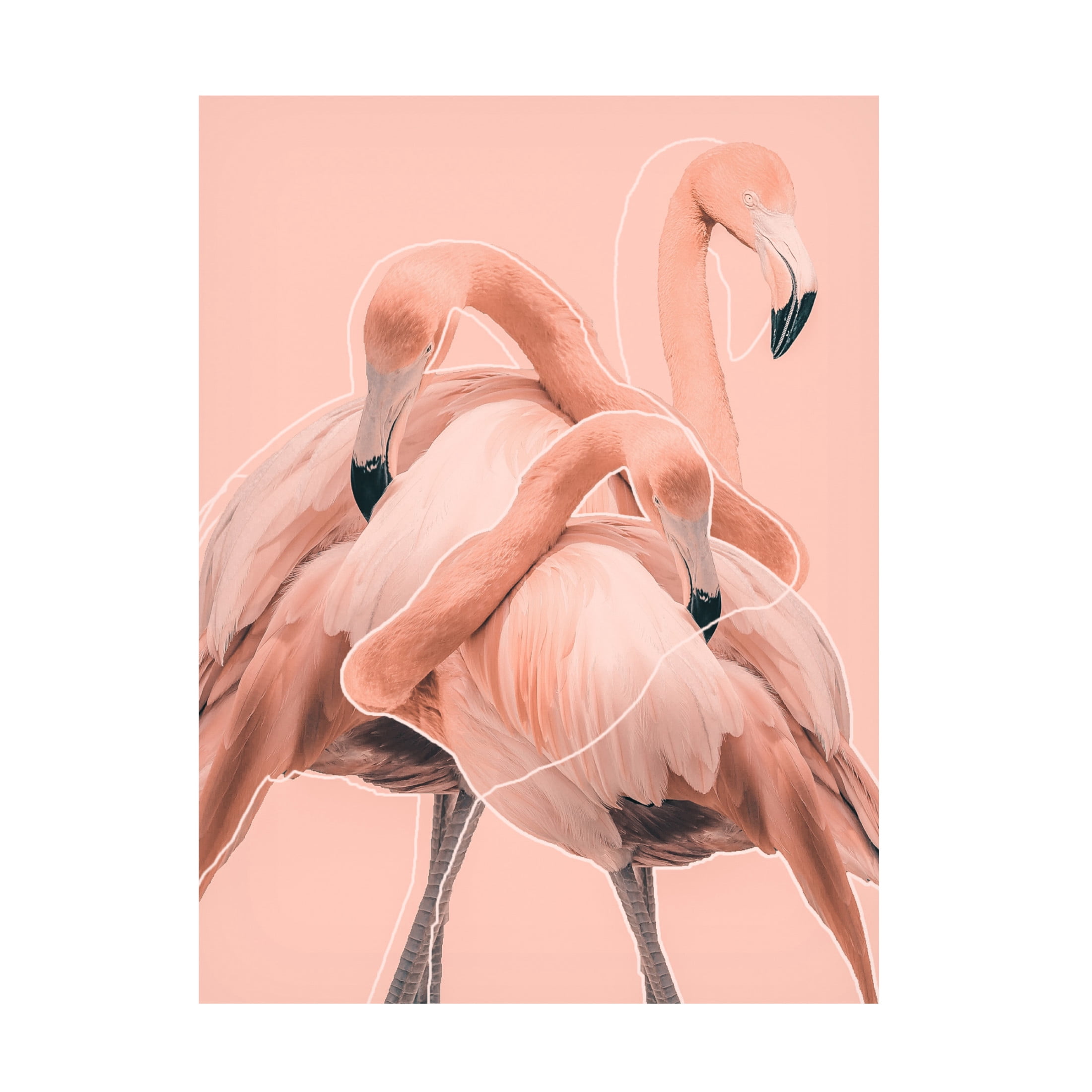 Trademark Fine Art Baard Martinussen Flamingos nr. 1 Canvas Wall Art