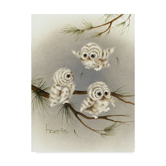 Trademark Fine Art 'Baby Barnstormers' Canvas Art by Peggy Harris